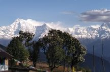 2 Days Panchase Hill Trekking from Pokhara