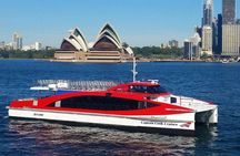 Sydney Hop-on-Hop-off Cruise and Whale Watching Cruise