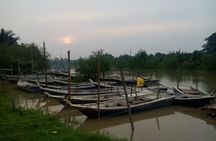 Nature At The Riverbank, Fireflies Watching By Row Boat (Guided)