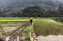 6-Day Off The Beaten Track Trek To Ba Be Lake And Ban Gioc Waterfall