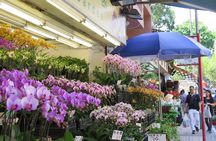 Hong Kong Private Shore Excursion 4/6hrs (with car - MPV)