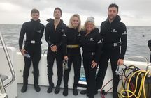 CapeTown: Shark Cage Diving Experience with Scuba 
