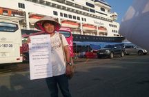 Private Shore Excursion of Cu Chi Tunnels and Ho Chi Minh City