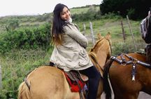 Cotopaxi Hike & Horse