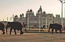 Best of Mysore/Mysuru, Somnathpur & Srirangapatna in a Day