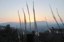 A Day of Spiritual Discovery in the Upper Galilee