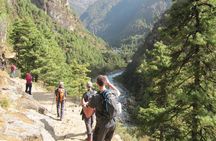 Mt. Everest Base Camp Trek Nepal - 16 Days 
