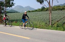 Bicycle Tour - Dolphin Bay and Khao Khalok Tour