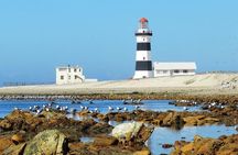 Cape Recife, Lighthouse and 4x4 Grysbok Reserve - HD14