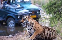 Golden Triangle Tour With Tiger Safari at Ranthambore 7 days 