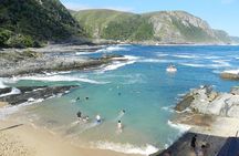 The Garden Route from Port Elizabeth to The Crags - FD07