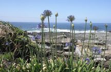 The Garden Route from Port Elizabeth to The Crags - FD07
