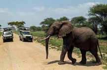4-Day Tanzania Camping Safari to Lake Manyara, Serengeti, and Ngorongoro Crater