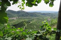 Guided Vespa tour in the Prosecco Land