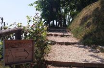 Guided Vespa tour in the Prosecco Land