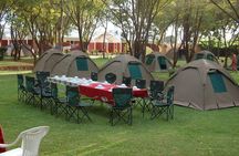 5Days Tanzania Camping Safari to Lake Manyara Serengeti And Ngorongoro Crater from Arusha
