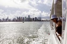 Florida Everglades Airboat Adventure plus Miami Biscayne Bay Cruise