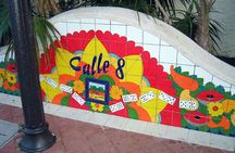 Miami City Tour and Biscayne Bay Cruise with Hotel Transportation