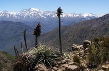 Half-Day Private Andes Hiking Tour from Santiago, carbon neutral.