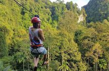 Thrilling Zipline Adventures at Thai'd Up in Krabi's Lush Jungle
