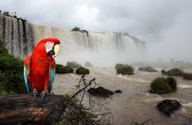 Iguazu Falls Brazilian side