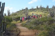 Arikok Adventurous Hiking Experience in Aruba