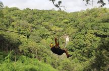 Tour Combo - WRCT Adventures Private Zipline & Horseback Ride