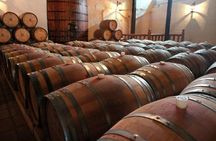 Santiago Full day tour to Maipo Valley, include entraces