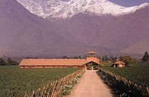 Santiago Full day tour to Maipo Valley, include entraces