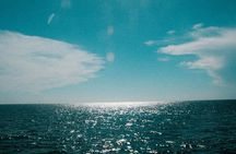 Saona Island from Punta Cana - Klubsaona Tour