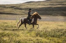 Exclusive Riding Program for Advanced Horse Riders - Give Me 5! - 2 to 3 hours