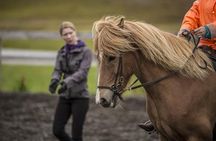 Exclusive Riding Program for Advanced Horse Riders - Give Me 5! - 2 to 3 hours