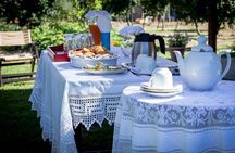 Olympia Shore Ex: Ancient Olympia, Honey Farm & Olive Oil Tasting