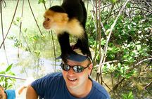 Mangrove Boat Tour Damas Island | Manuel Antonio