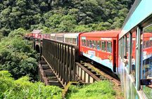 Scenic Train ride to historical cities of Morretes and Antonina