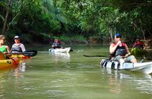Mangrove Kayak Tour | Manuel Antonio