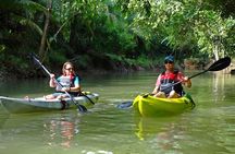 Mangrove Kayak Tour | Manuel Antonio