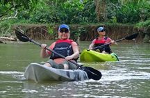 Mangrove Kayak Tour | Manuel Antonio