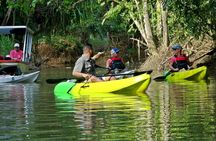 Mangrove Kayak Tour | Manuel Antonio