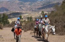 Half-Day Private Tour Riding on Horseback Around Cusco
