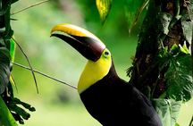 Rainmaker Park Hanging Bridges & Waterfalls Tour with Jade Tours 