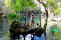 Sea turtle and cenotes half day Snorkeling Tour from Riviera Maya