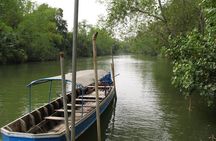 Scenic River Trip on the Pranburi River
