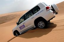 Dubai Desert Safari with BBQ, 3 Shows & Camel Ride at Majlis Camp