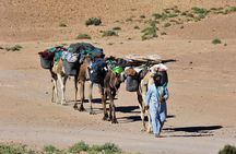 4 Days Hiking To Desert