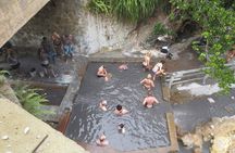 Volcanic Tour and Botanical Gardens