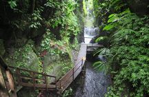 Quad or Buggy Tour with Canyon Tubing Adventure in Bali