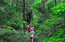 Sinharaja Trekking Day Trip - Private & All Inclusive