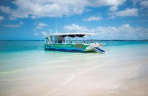 Turtle Discovery & Great Sandy Marine Park Adventure