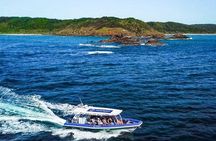 Byron Bay Dolphin Tour - Ocean Safari
